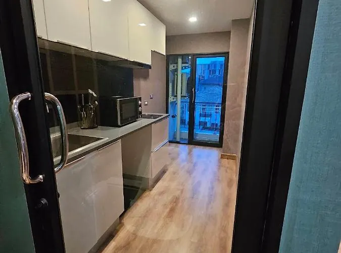 Apartment Sukhumvit Ekkamai Thonglor The Ace *